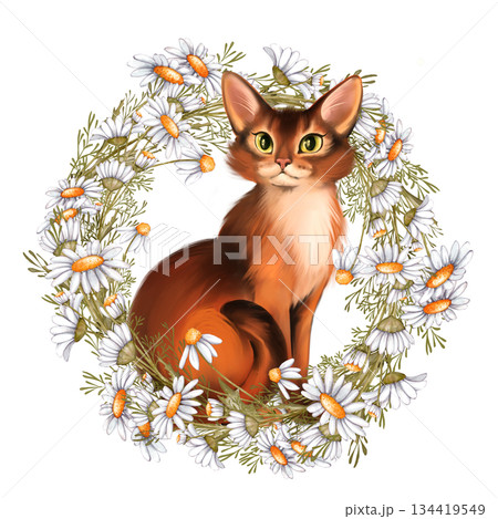 Hand-drawn Illustration of cute red cat sitting inside a wreath of white daisy flowers and green leaves. Design for spring greeting card, pet care decor or stationery 134419549
