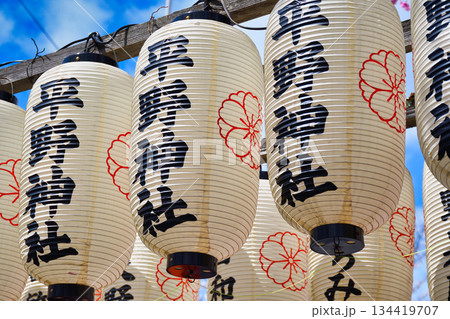 京都の桜の名所　平野神社（京都府京都市北区） 134419707