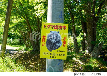 ヒグマ出没中・函館市 ヒグマ出没中・函館市 134419809
