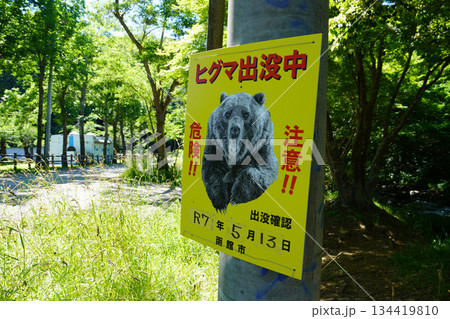 ヒグマ出没中・函館市 ヒグマ出没中・函館市 134419810