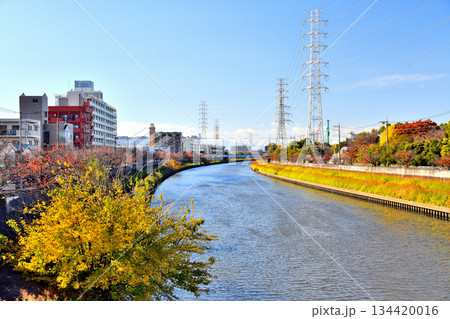 芝原橋／新河岸川より上流(早瀬橋)方向を望む(東京都板橋区)【2025.11】 134420016