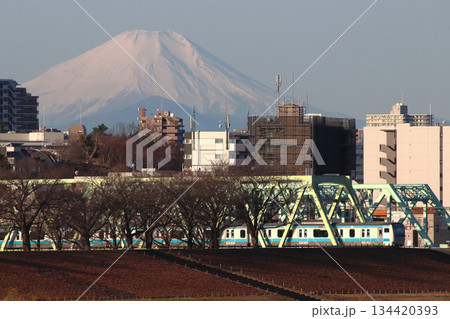 冬の荒川河川敷から望む京浜東北線E233系電車（埼玉県川口市） 134420393