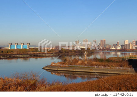 冬晴れの川口市中央地区の高層マンション群 134420513