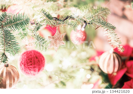 クリスマスイメージ 134421020