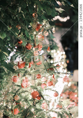 クリスマスイメージ 134421066