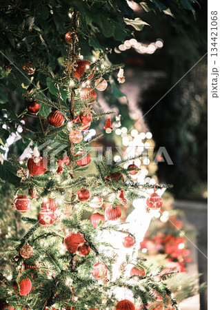 クリスマスイメージ 134421068