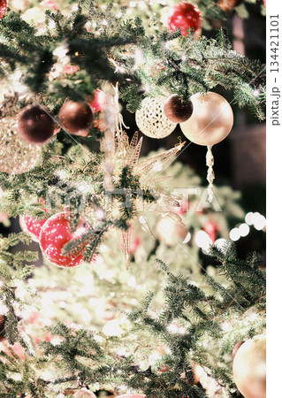 クリスマスイメージ 134421101