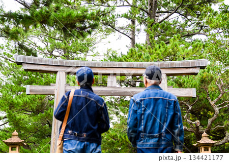 鳥居に向かうシニア夫婦の後ろ姿 134421177