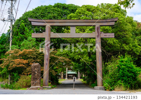 鳥居と鳥居の門 新緑の神社 134421193