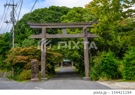 神社の鳥居と参道、豊かな緑 134421194