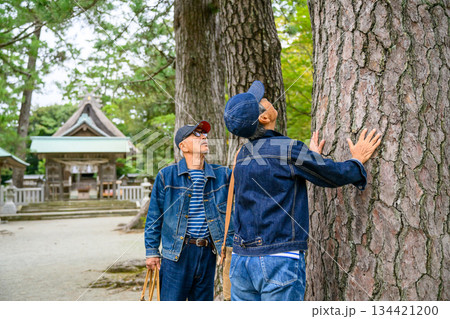 神社で巨木に触れる年配男性 134421200
