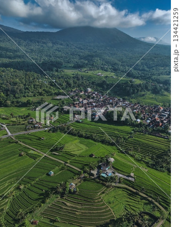 Aerial Perspective Revealing Traditional Balinese Farm Terraces 134421259