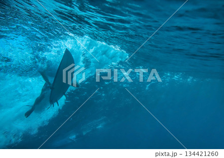Underwater perspective of surfing through blue depths Underwater perspective of surfing through blue depths 134421260