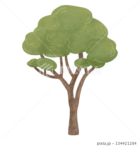 Green tree, children's illustration in a flat, naive style. Watercolor, pastel. Isolated element. For design of children's products, prints, textiles 134421284