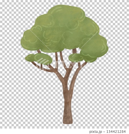 Green tree, children's illustration in a flat, naive style. Watercolor, pastel. Isolated element. For design of children's products, prints, textiles 134421284