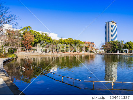 多摩ニュータウン 冬晴れの多摩中央公園 多摩ニュータウン 冬晴れの多摩中央公園 134421327