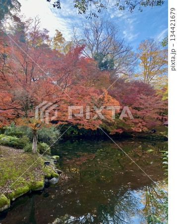 京都綾部本みろく殿の紅葉 京都綾部本みろく殿の紅葉 134421679