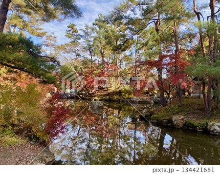 京都綾部本みろく殿の紅葉 134421681