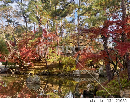京都綾部本みろく殿の紅葉 134421683