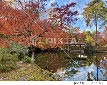 京都綾部本みろく殿の紅葉 134421685