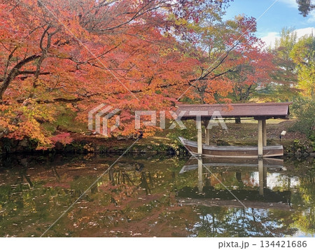 京都綾部本みろく殿の紅葉 134421686