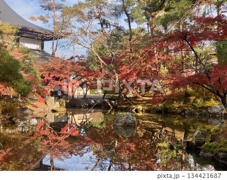 京都綾部本みろく殿の紅葉 134421687