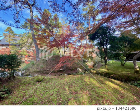 京都綾部本みろく殿の紅葉 134421690