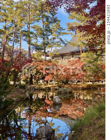 京都綾部本みろく殿の紅葉 134421693