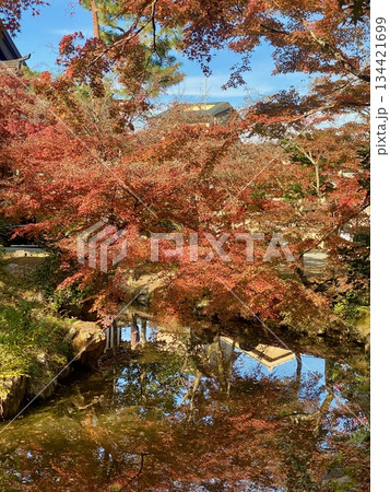 京都綾部本みろく殿の紅葉 京都綾部本みろく殿の紅葉 134421699