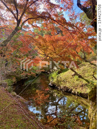 京都綾部本みろく殿の紅葉 134421708