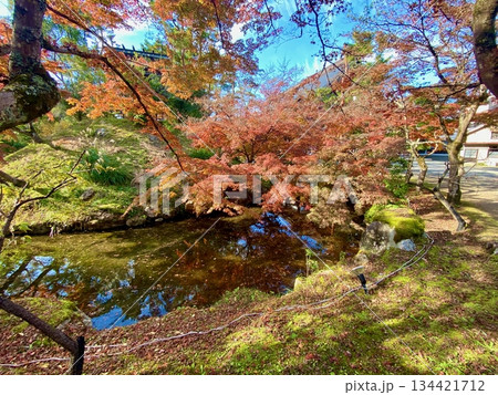 京都綾部本みろく殿の紅葉 134421712