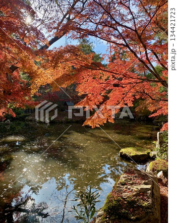 京都綾部本みろく殿の紅葉 京都綾部本みろく殿の紅葉 134421723