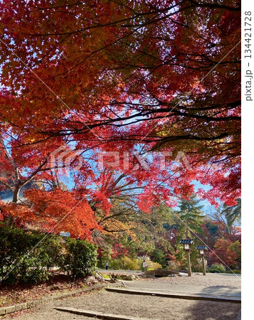 京都綾部本みろく殿の紅葉 134421728