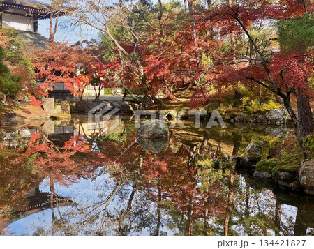 京都綾部本みろく殿の紅葉 京都綾部本みろく殿の紅葉 134421827