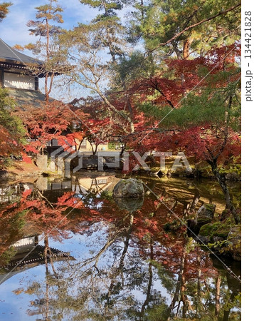 京都綾部本みろく殿の紅葉 134421828
