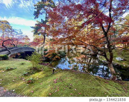 京都綾部本みろく殿の紅葉 134421838