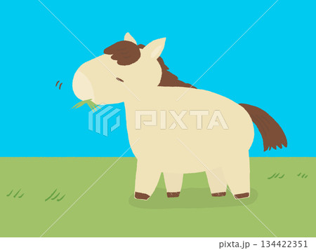 かわいい草原で草を食べる馬 かわいい草原で草を食べる馬 134422351