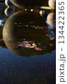水面に浮かぶ落ち葉 134422365