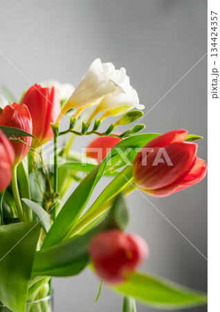Spring floral background. Red tulips and Fresia white flower bouquet. Copy space Spring floral background. Red tulips and Fresia white flower bouquet. Copy space 134424357