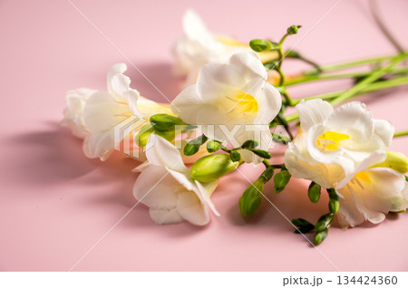 White floral spring, easter background. Freesia white flowers in vase, copy space 134424360
