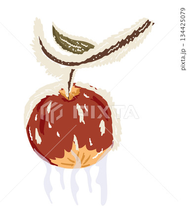 Red apple hanging from a snowy branch with icicles forming beneath. Concept of frozen fruit, cold weather and natural winter still life 134425079