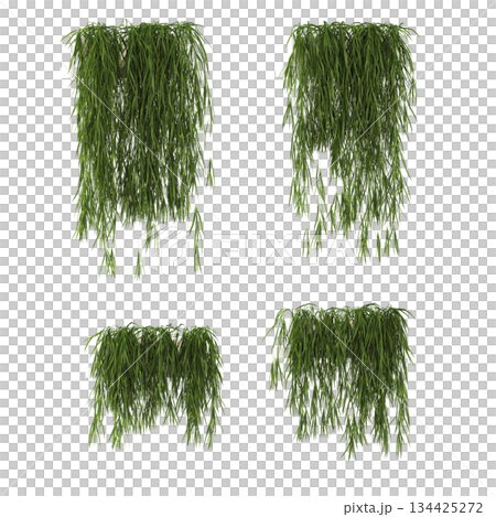 decorative flowers and plants for the interior, isolated on transparent background, 3D illustration, cg render decorative flowers and plants for the interior, isolated on transparent background, 3D illustration, cg render 134425272