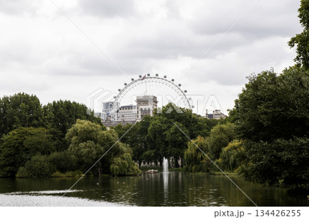 London Eye View Across a Park With a Lake and Trees London Eye View Across a Park With a Lake and Trees 134426255