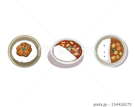 カレーライスのベクターイラスト 134426275