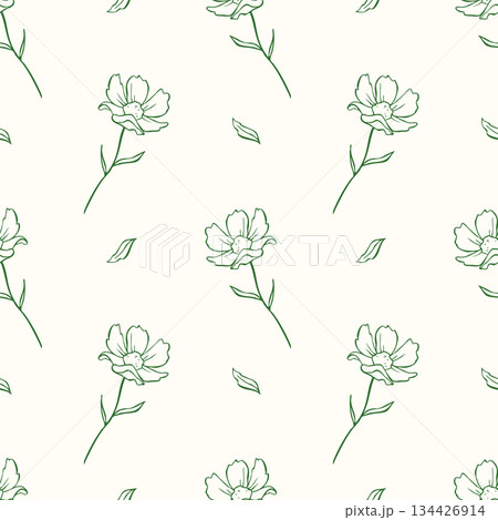 Floral seamless pattern. Outline daisy flowers and leaves Floral seamless pattern. Outline daisy flowers and leaves 134426914
