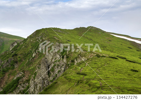 Lit by morning sun wide green valley, hills covered with grass and distant misty mountain rocks under bright blue summer sky and white puffy clouds. Beauty of nature, tourism and traveling concept. Lit by morning sun wide green valley, hills covered with grass and distant misty mountain rocks under bright blue summer sky and white puffy clouds. Beauty of nature, tourism and traveling concept. 134427276