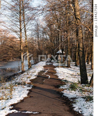 Snowy path in a forest on a late afternoon of winte 134427584
