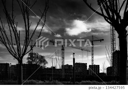 Construction Cranes Crafting the Urban Landscape 134427595