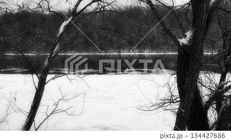 winter river and trees in winter season 134427686