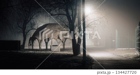 Futuristic Pavilion in Foggy Winter Night 134427720